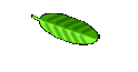 A History of Nutrition