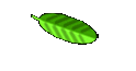 About Us/Contact Us