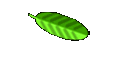 Free Newsletter