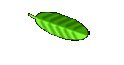 Mens Health