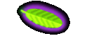 Nutrition Dictionary