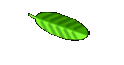 Nutrition Dictionary