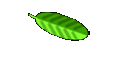 Press Releases