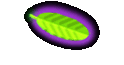 Privacy Policy