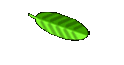 Privacy Policy