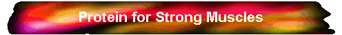 Protein for Strong Muscles