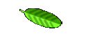Stress and Health