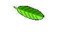 Take Our Survey