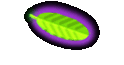 Womens Health