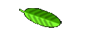 Womens Health