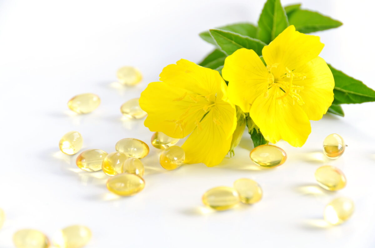 Menopause Hot Flashes Improved by Evening Primrose Oil and Minerals