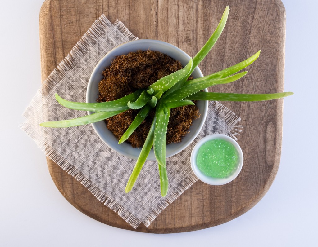 Best Laxative Foods Studies on Flaxseed, Aloe Vera, Yogurt, Magnesium