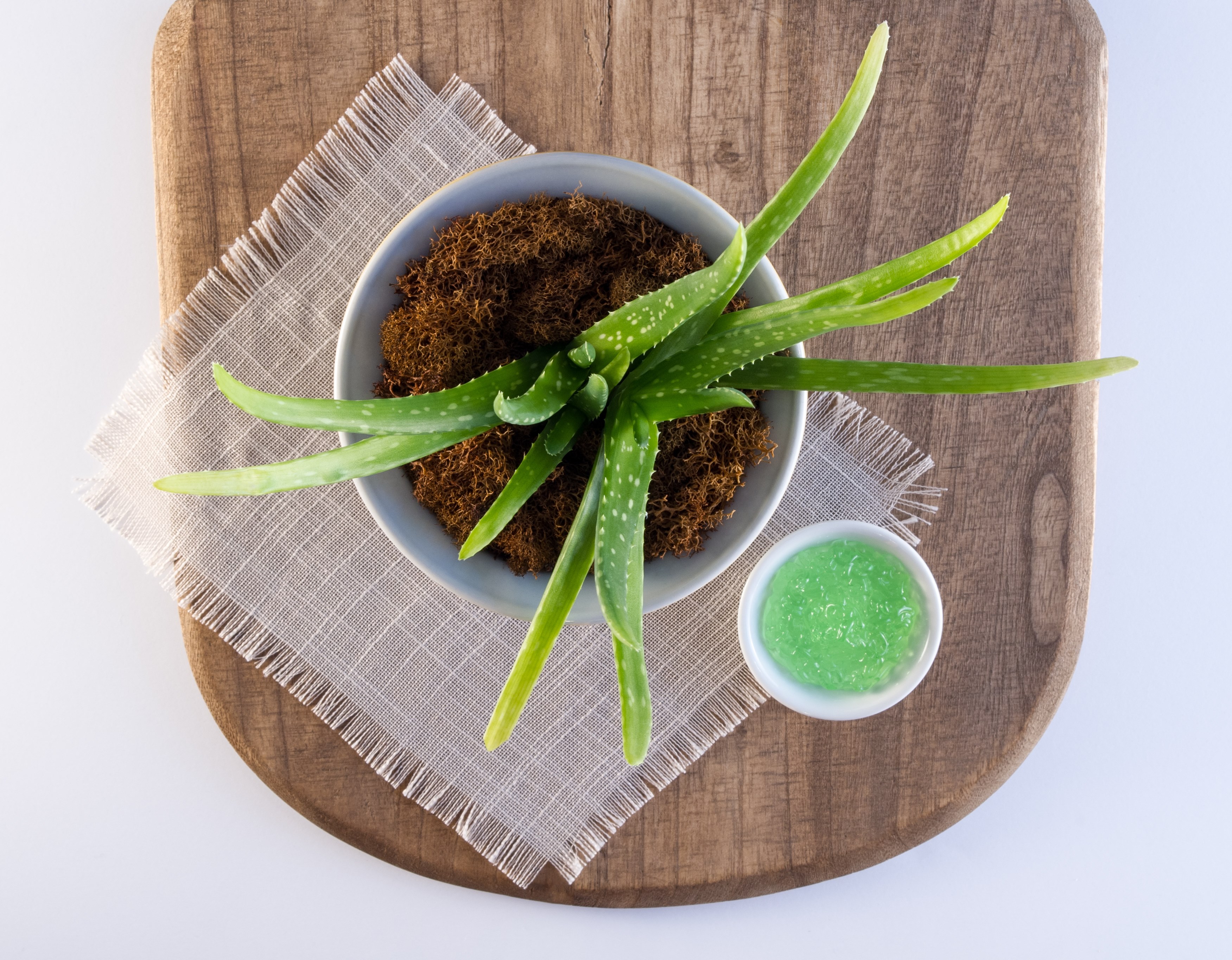 Best Laxative Foods Studies on Flaxseed, Aloe Vera, Yogurt, Magnesium